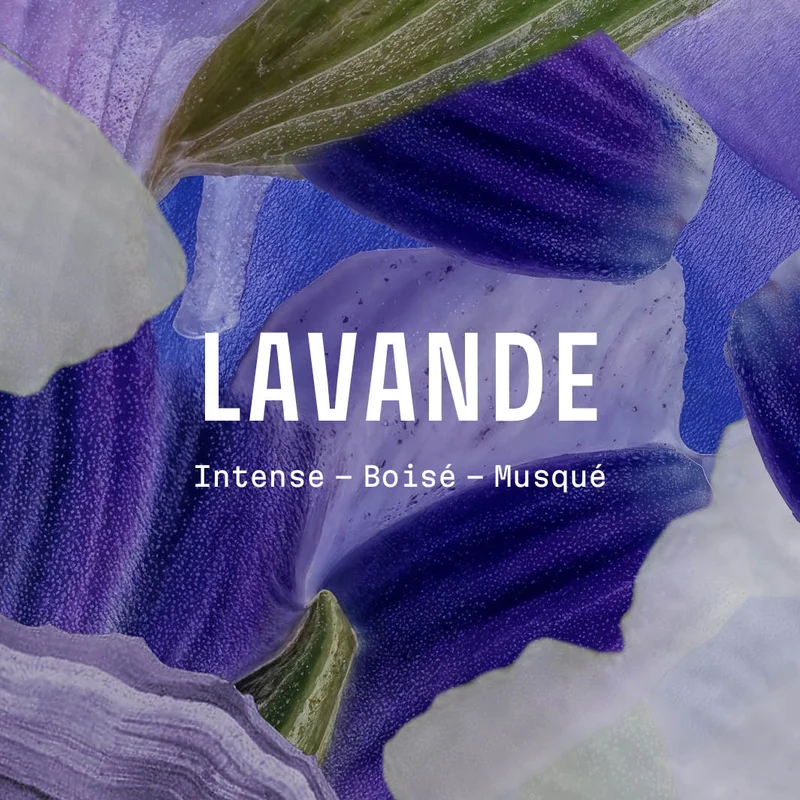 Brume d’oreiller sommeil apaisant – Lavande Iconique 100ml