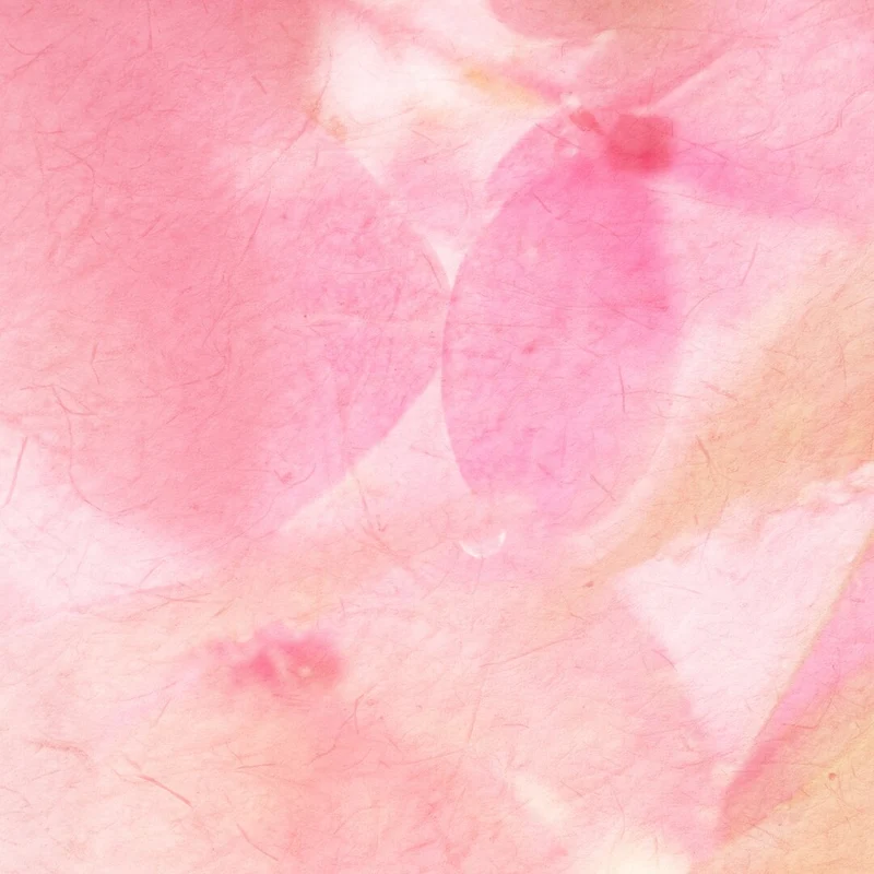 Peach Blossom Spring