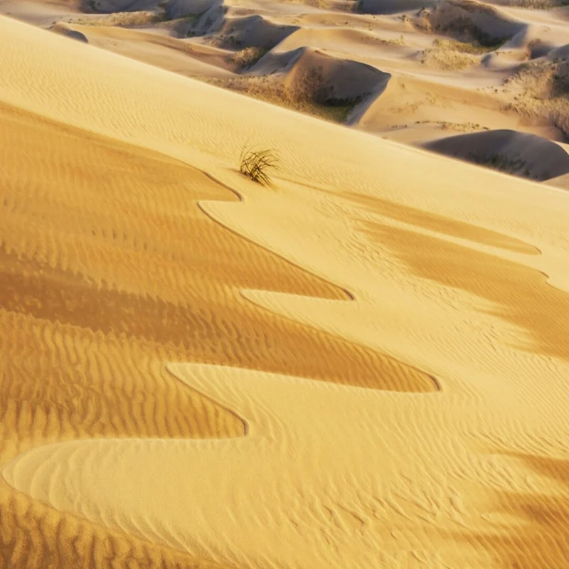 Desert's Verge