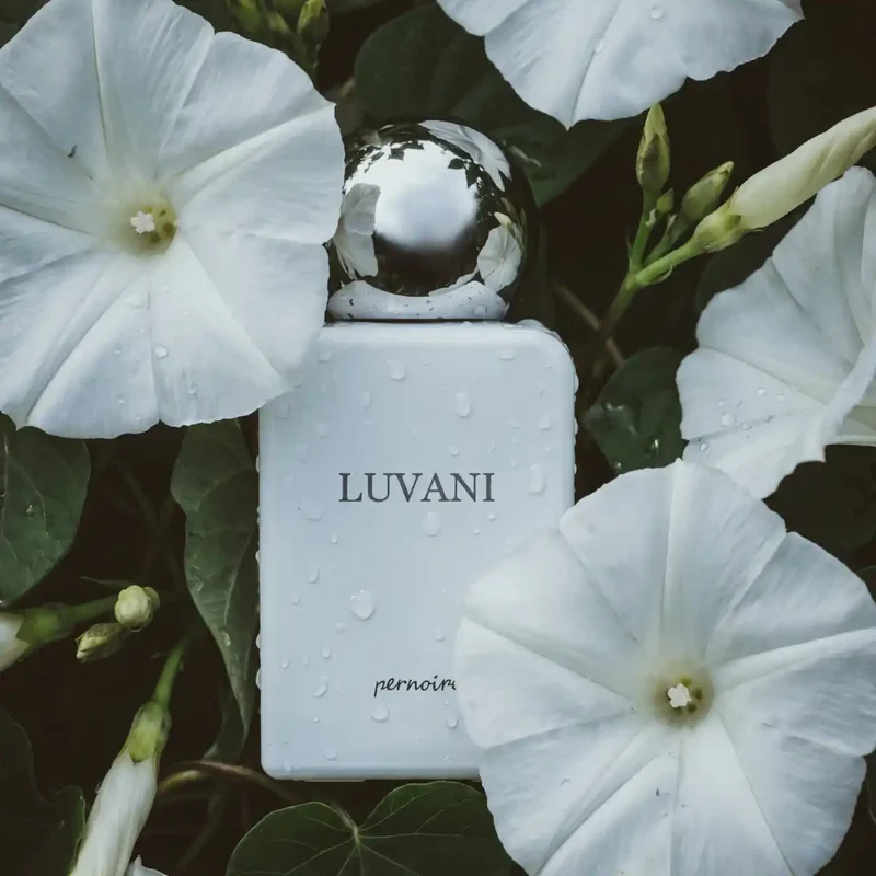 Pernoire - Odus Collection - Luvani
