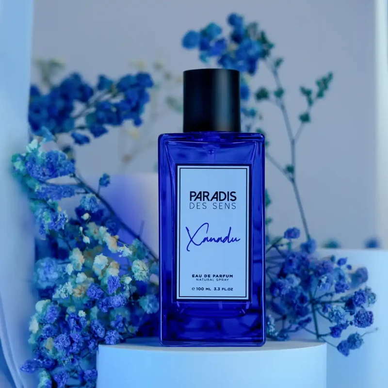 Paradis Des Sens - Awakening Sensations - Xanadu