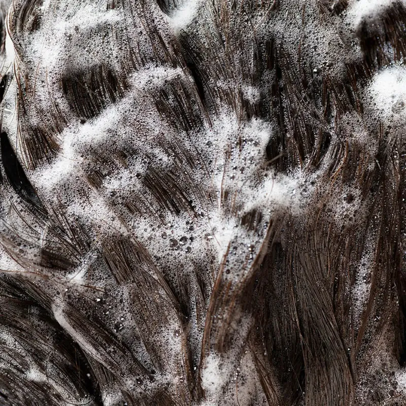 Oribe - Signature - Shampoo