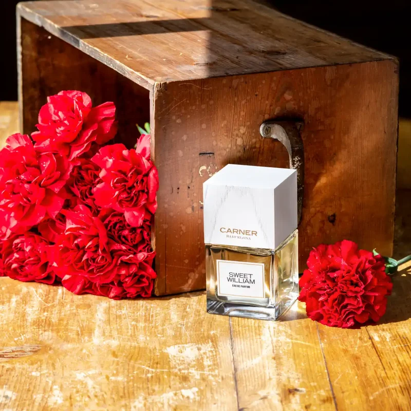 Carner Barcelona - Love Collection - Sweet William