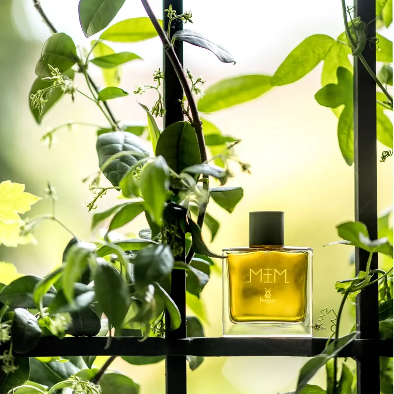 bogue Profumo - MEM