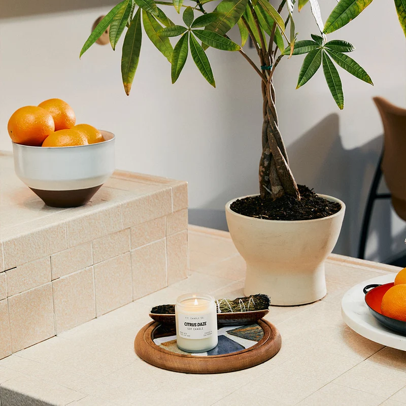 Citrus Daze – Soy Candle Standard Size