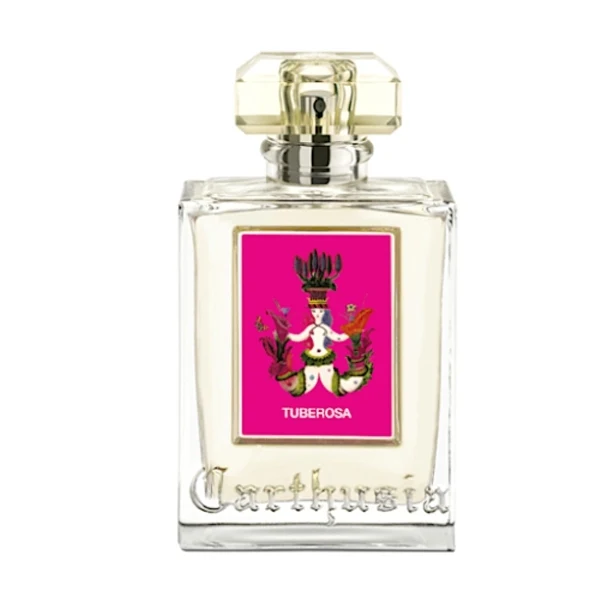Carthusia - Tuberosa