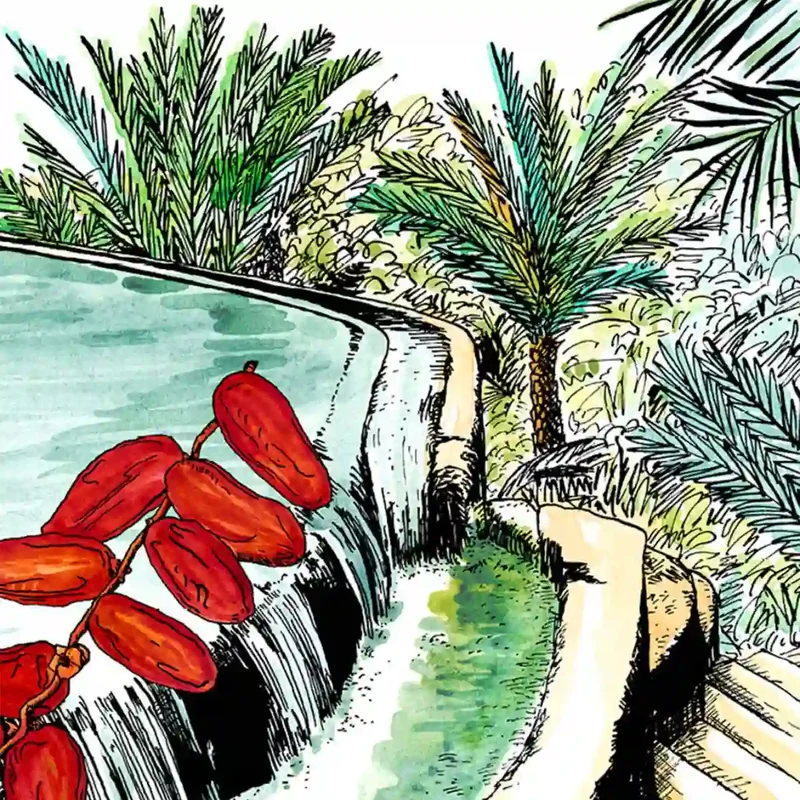 Une Nuit Nomade - Une Nuit a Oman - Jardins de Misfah