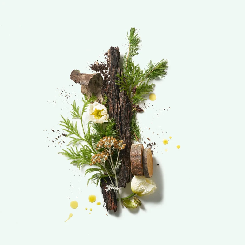 Natural Deodorant – Cedar Flora
