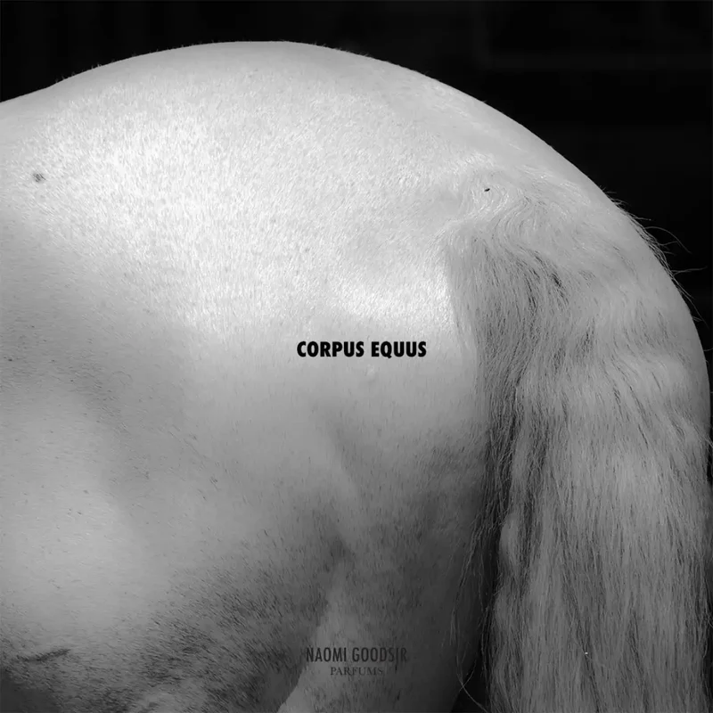 Naomi Goodsir - Corpus Equus