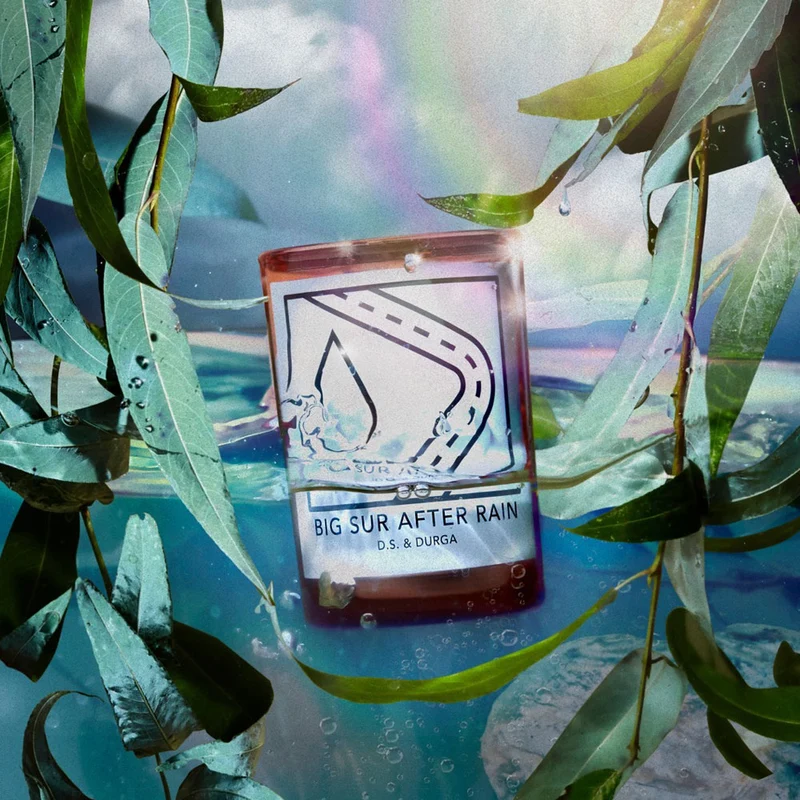 Big Sur After Rain – Candle
