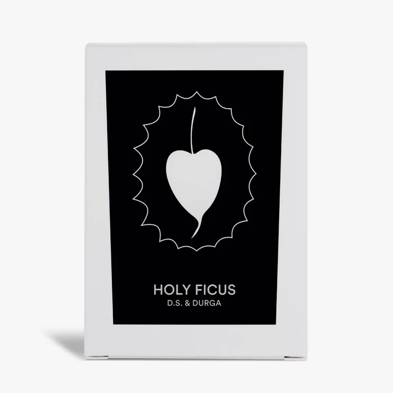 Holy Ficus – Candle
