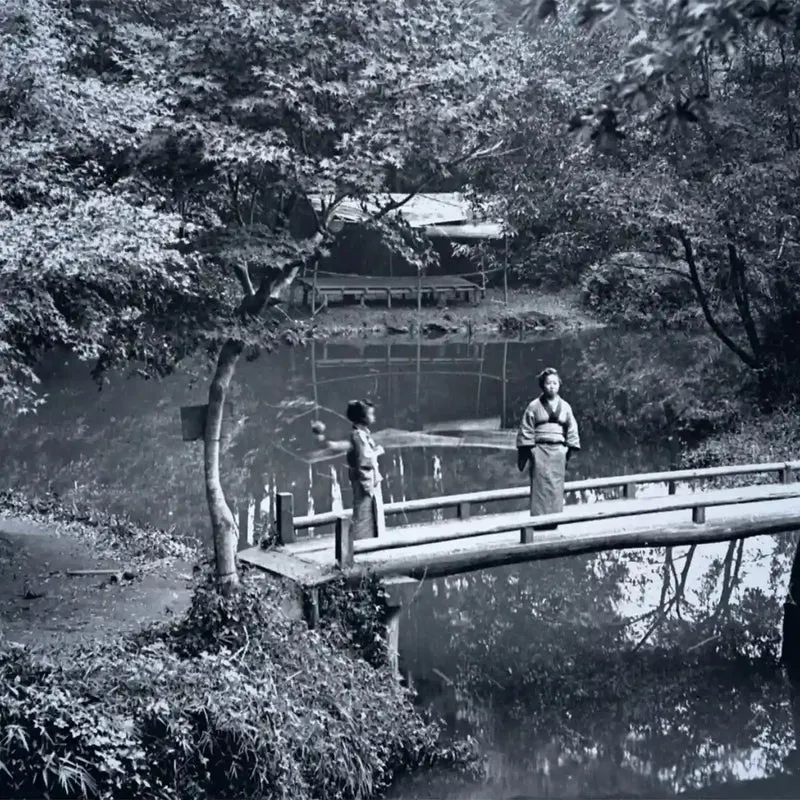 Cherigan - Edo Park