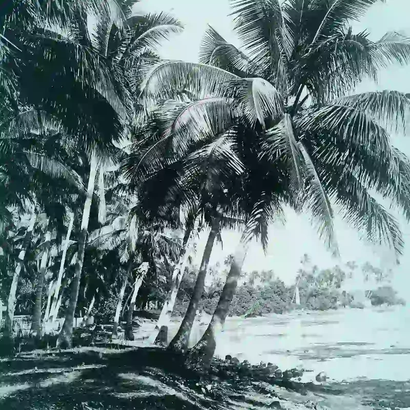 Cherigan - Or des Iles