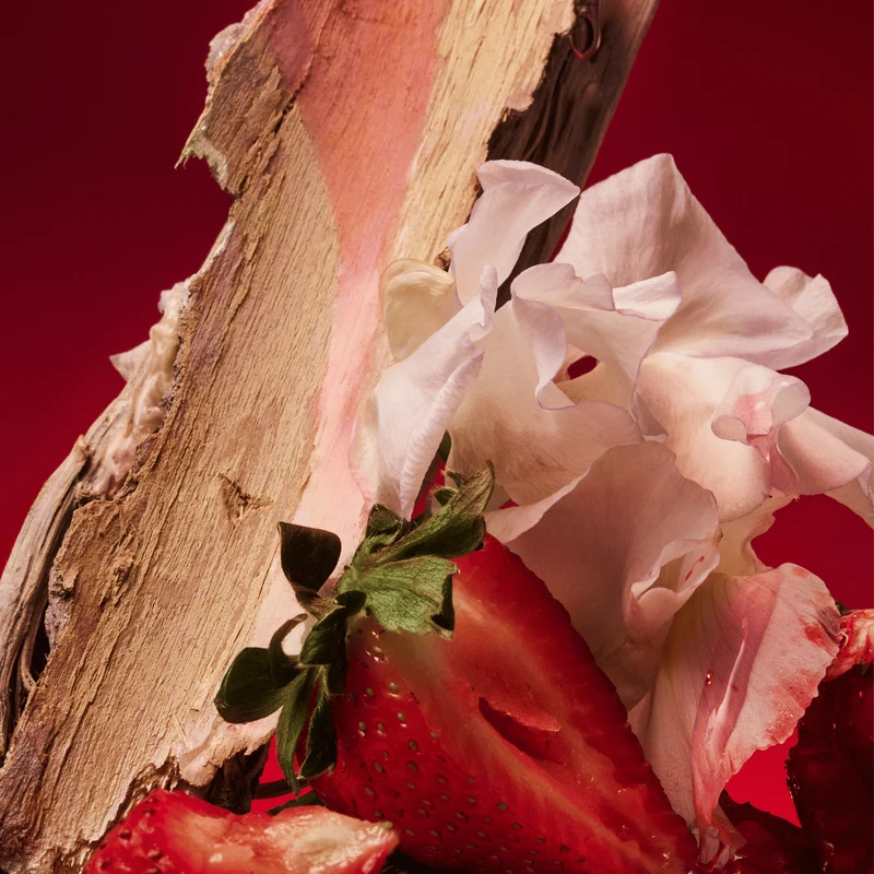 Rose Blaze
