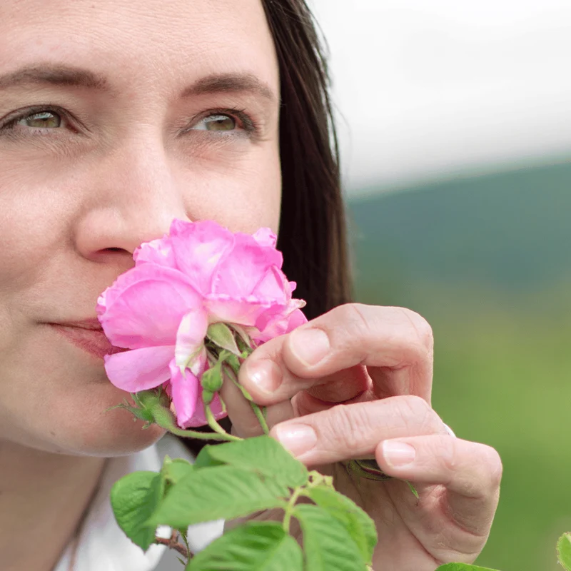 Une rose au paradis. R.B.