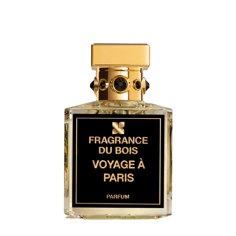 Voyage à Paris