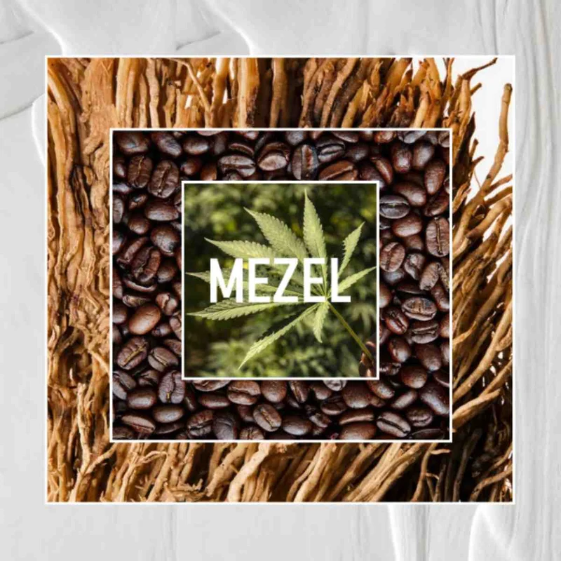 Mezel Paris - Café Défendu