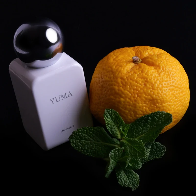 Pernoire - Odus Collection - Yuma