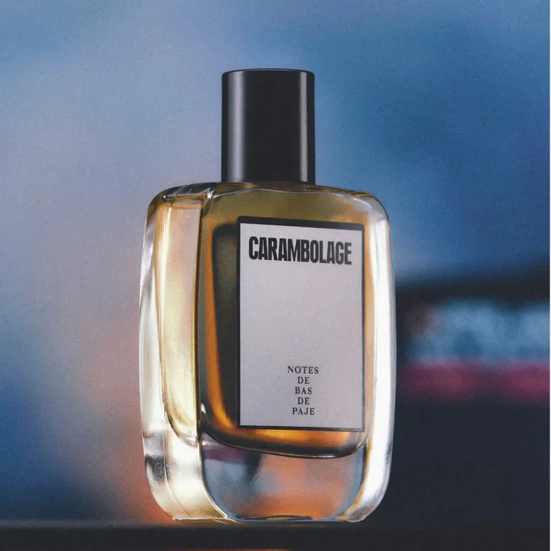 Notes de Bas de Paje - Carambolage