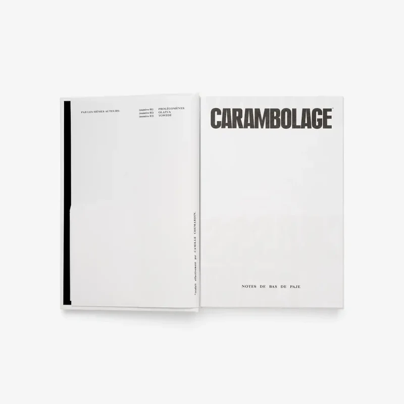 Notes de Bas de Paje - Carambolage