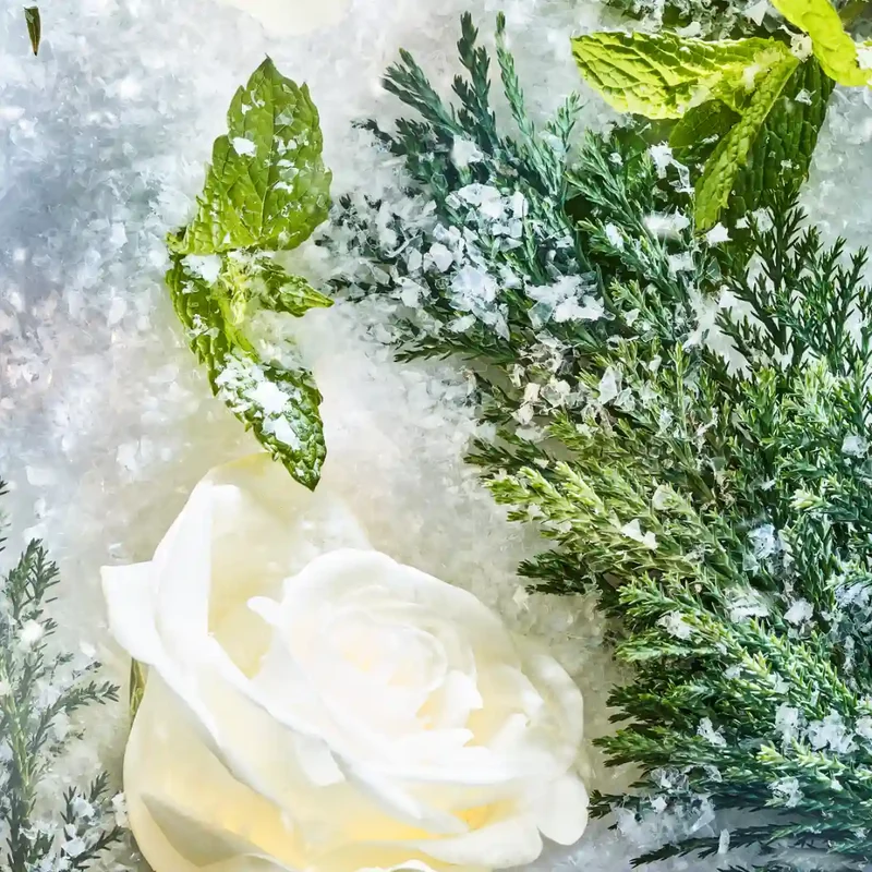 Roja Parfums - The Isola Collection - Isola Snow