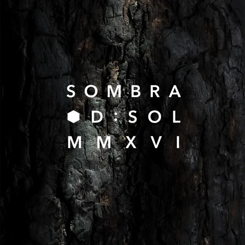 D:SOL MMXVI - Sombra