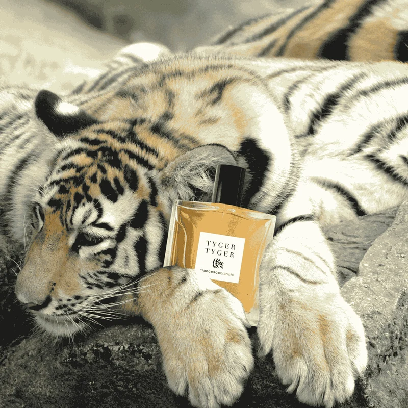 Tyger Tyger