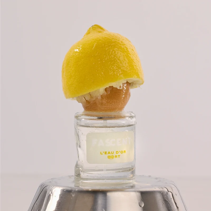 Fascent - L'Eau d'Or Dort