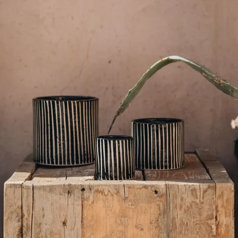 Bougie Zébré