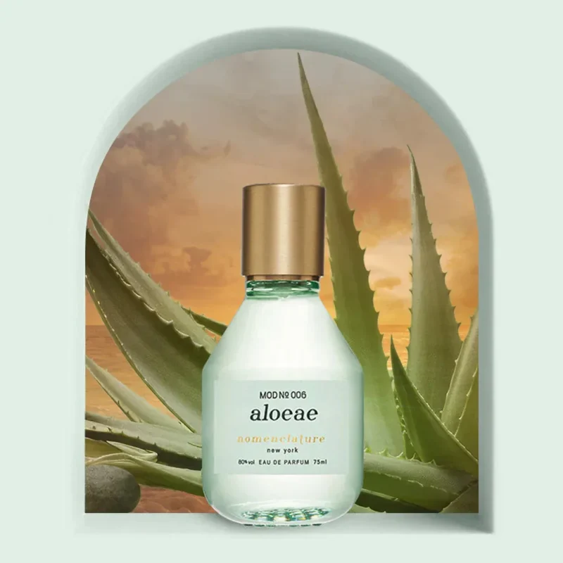 aloeae