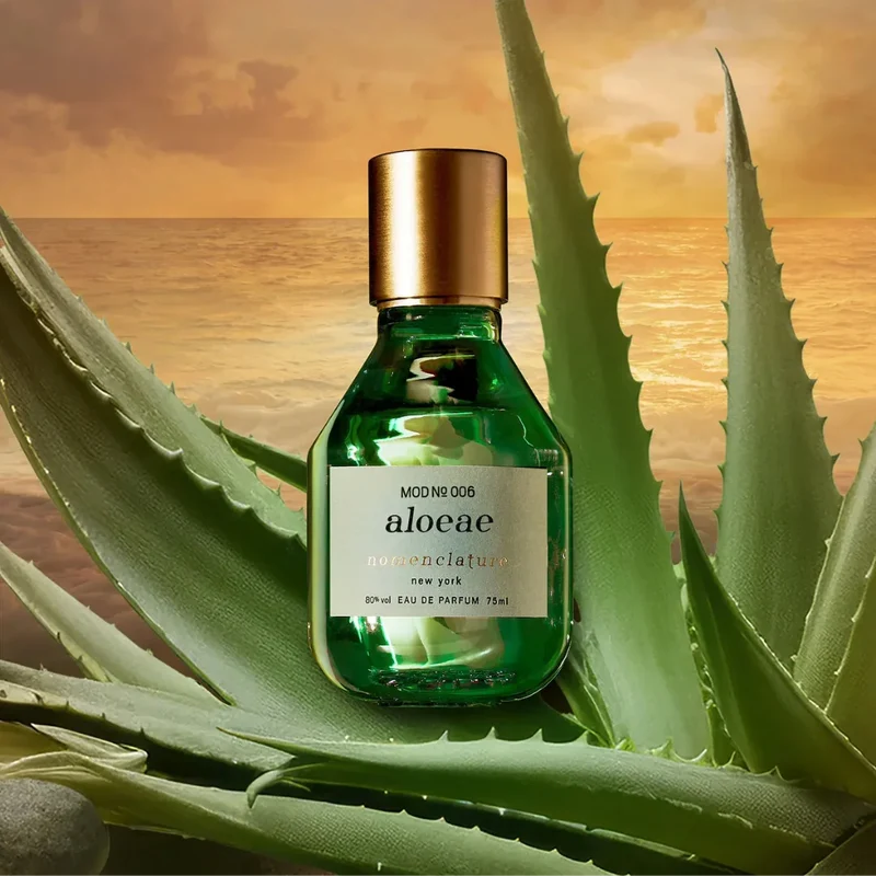 aloeae