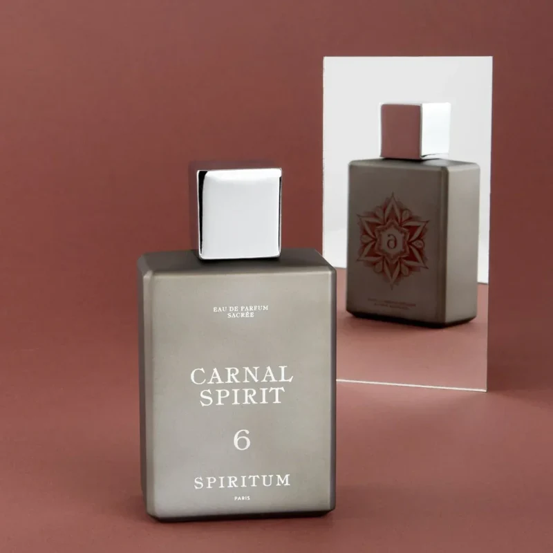 6 Carnal Spirit