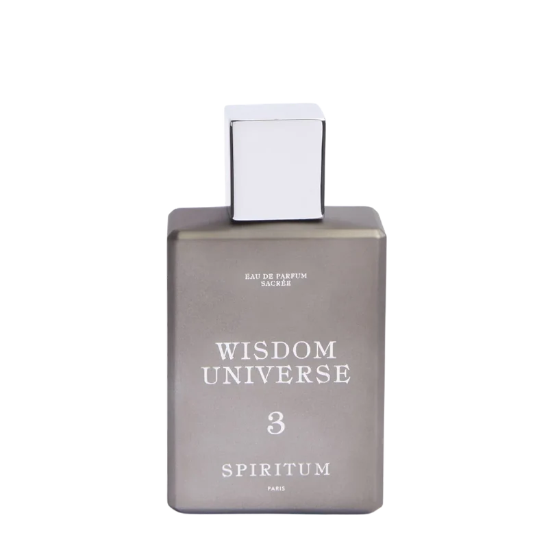 3 Wisdom Universe