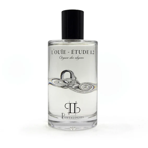 L’Ouïe – Etude 1.2