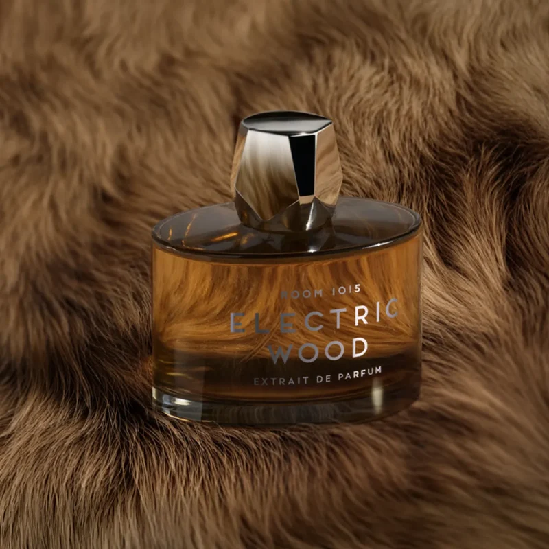 Room 1015 - Electric Wood - Extrait