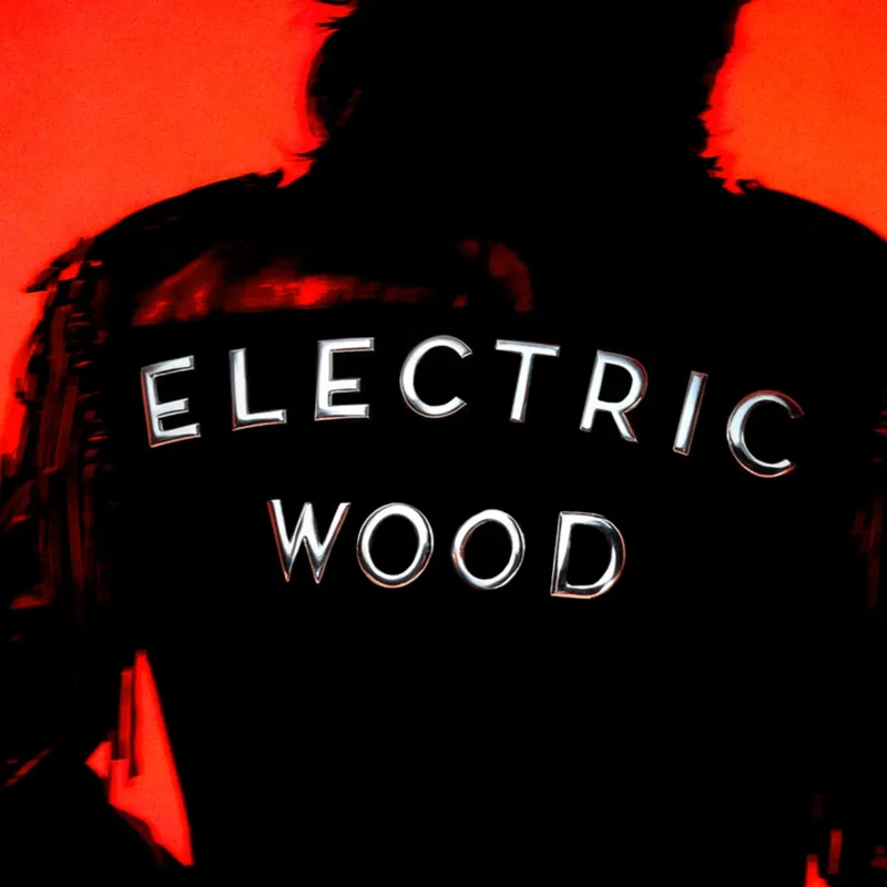 Room 1015 - Electric Wood - Extrait