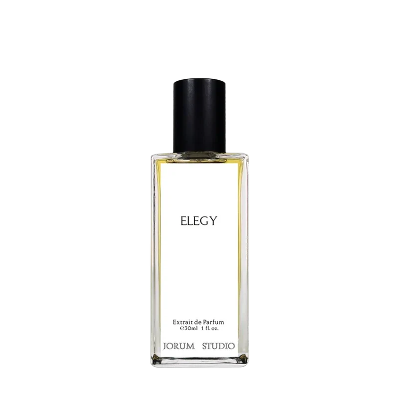 Elegy