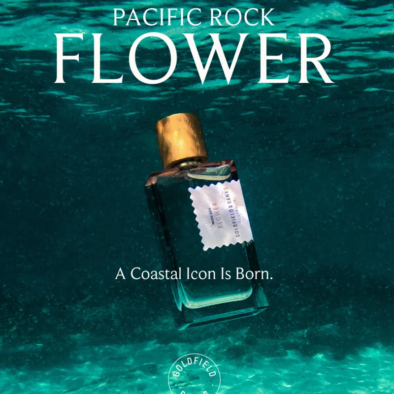 Goldfield & Banks - Native Collection - Pacific Rock Flower