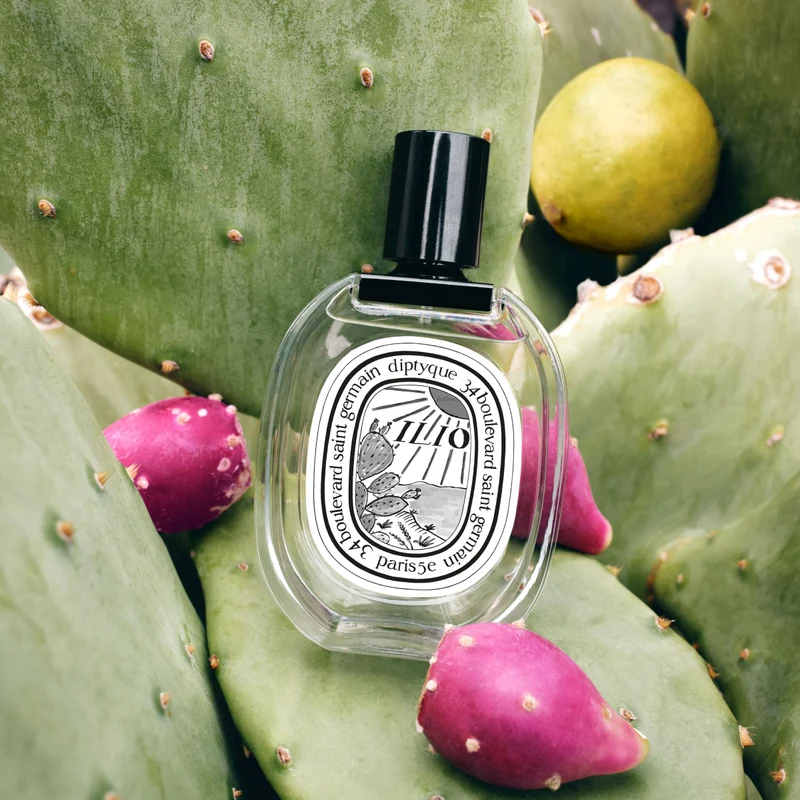 DIPTYQUE - Ilio