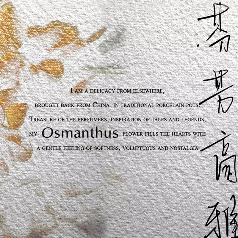 Osmanthus