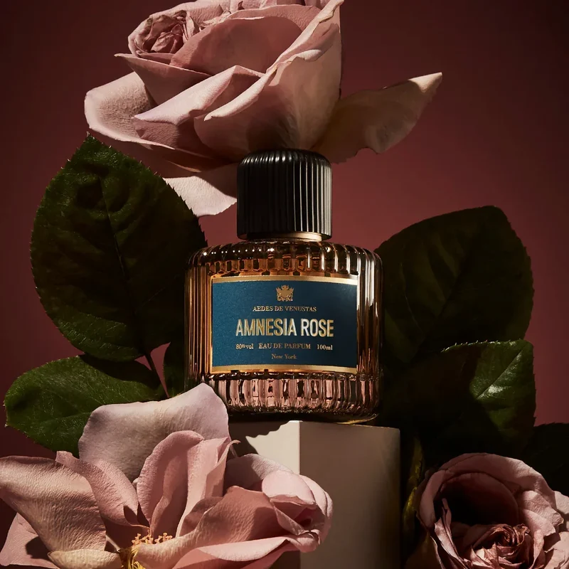 Amnesia Rose