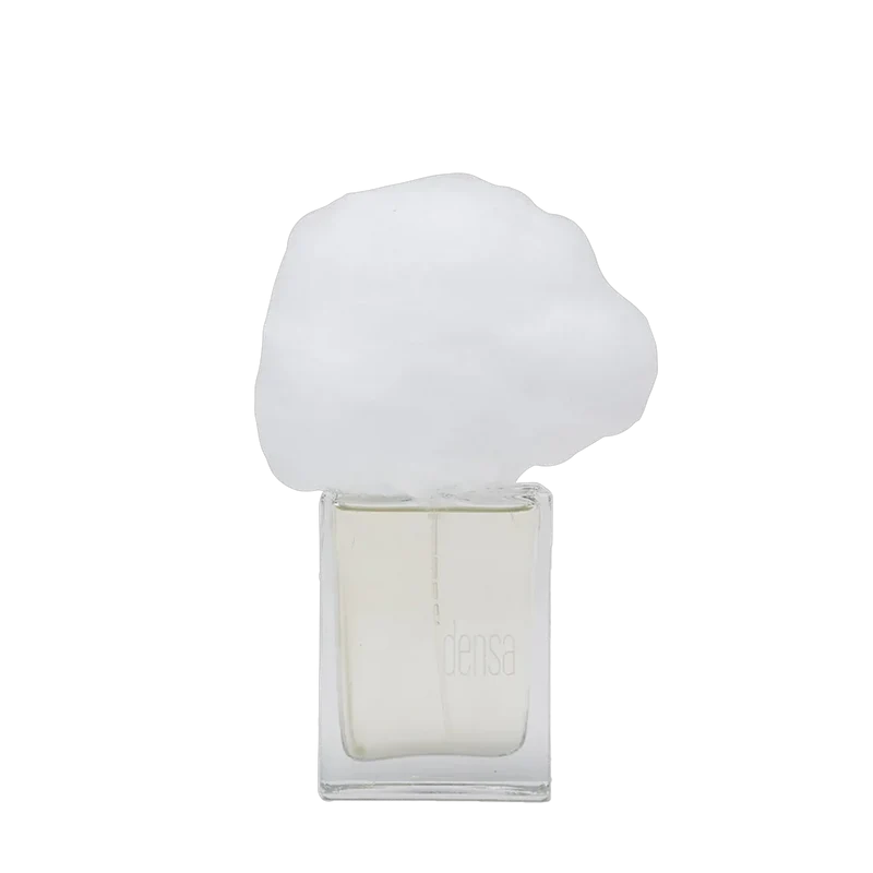 NEBBIA DENSA