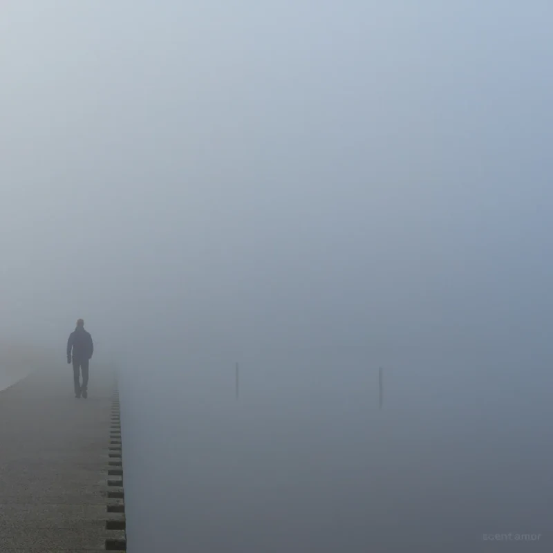 NEBBIA SPESSA