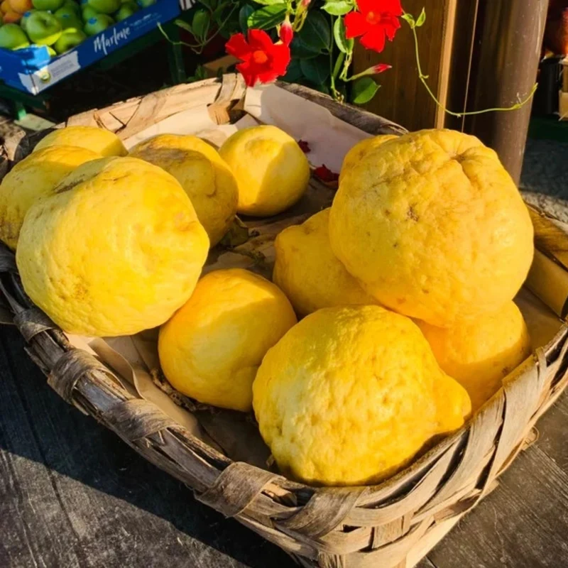 2er Seifen-Geschenkset „Buongiorno Positano“ • CASA AMALFI