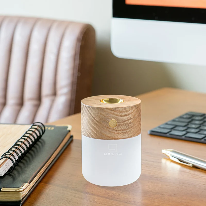 SMART DIFFUSER LAMP "Esche" • Gingko