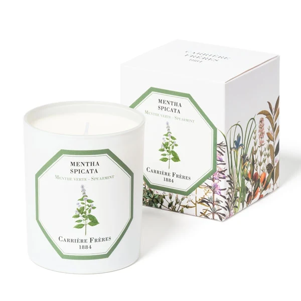 Carrière Frères - Spearmint - Mentha Spicata - Duftkerze