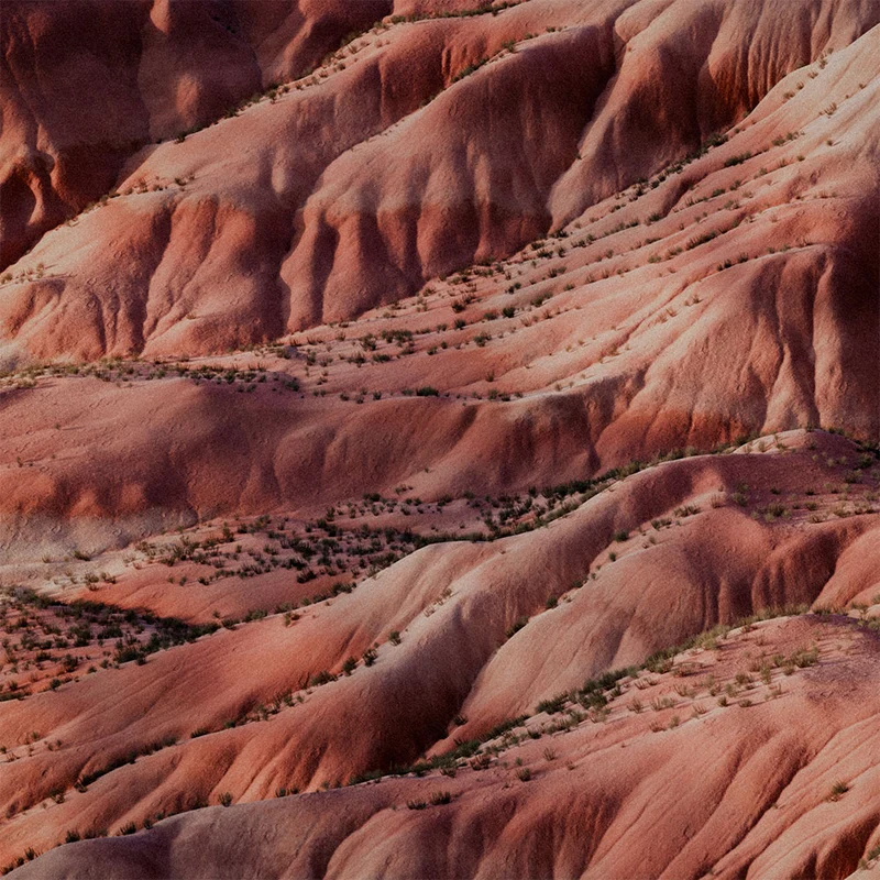 Painted Desert – Eau de Parfum
