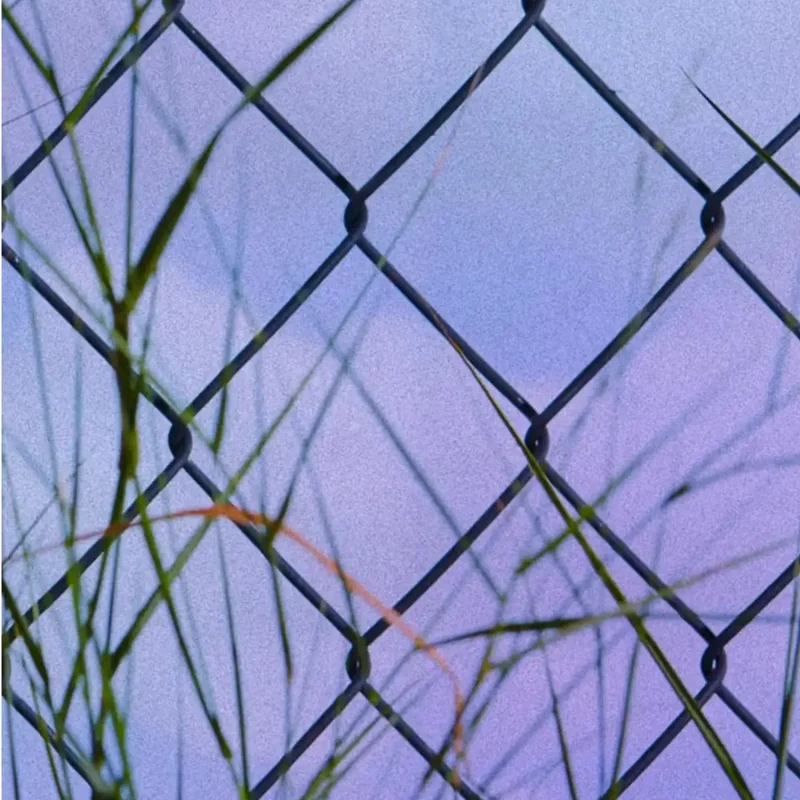 D.S. & Durga - Wild Brooklyn Lavender - Hand Soap