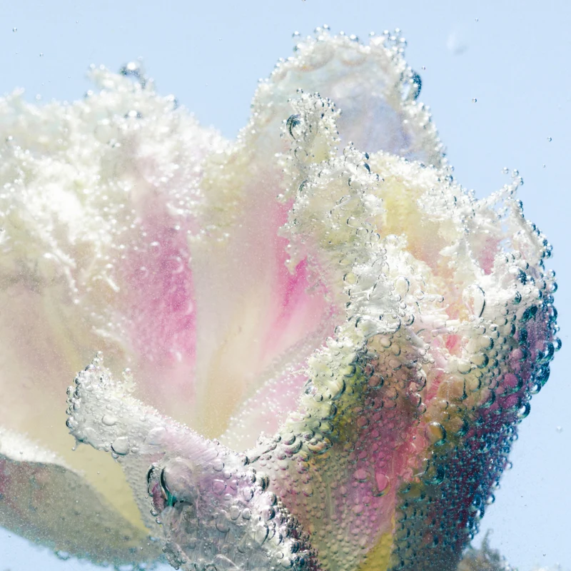 Byredo - Tulipmania - Hand Wash