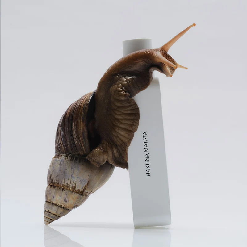 Hakuna Matata – Eau de Parfum – 27ml